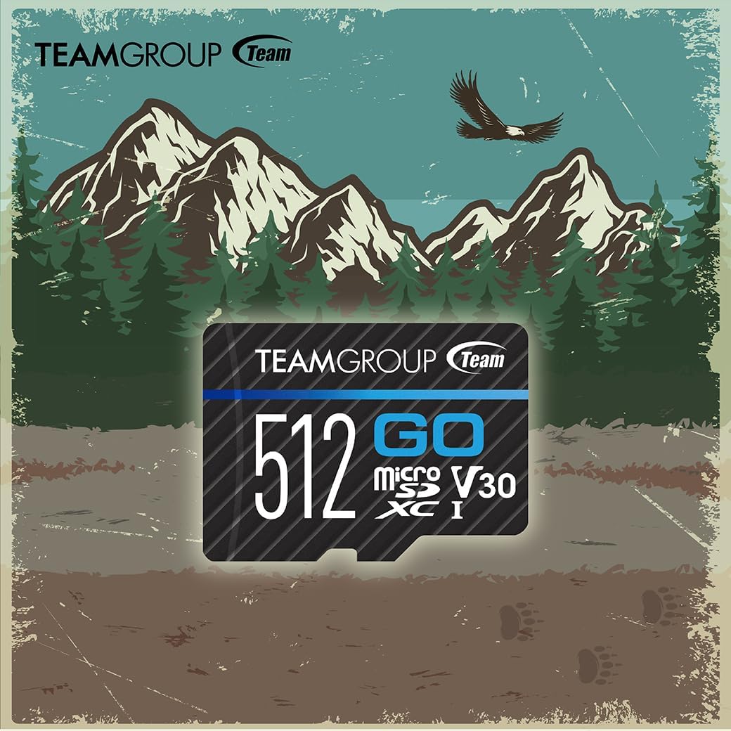 TEAMGROUP GO Card 256GB Micro SDXC UHS-I U3 V30 4K for GoPro & Action Cameras High Speed Flash Memory Card for Outdoor, Sports, 4K Shooting TGUSDX256GU302