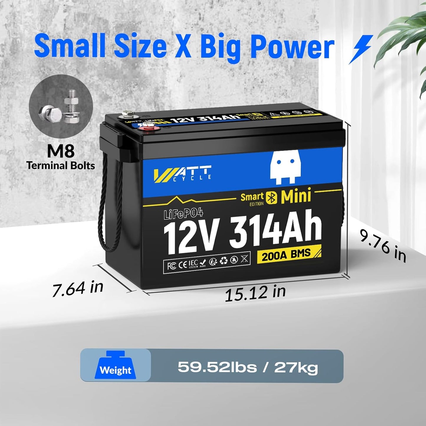 12V 314Ah Mini LiFePO4 Battery Bluetooth with 12V 60A Charger, 12Volt 300Ah + Lithium Batterys BMS 200A, 4.01kWh Energy, Upgraded Aluminum Cooling Fins & Braided Copper Wires