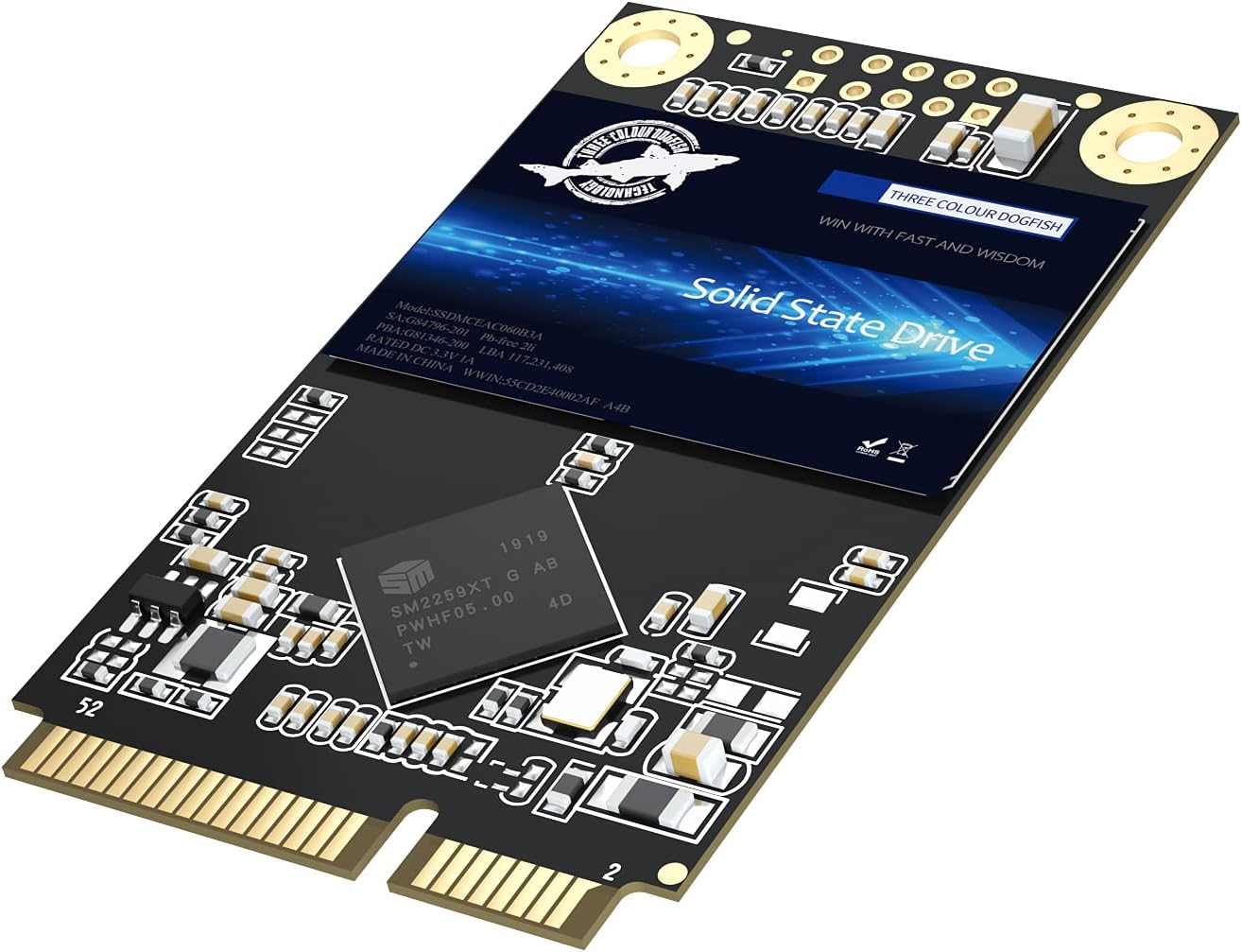 Dogfish mSATA SSD 64GB 3D NAND MLC SATA III 6 Gb/s, mSATA (30x50.9mm) Internal Solid State Drive - Compatible with Desktop PC Laptop - (MSATA 64GB)