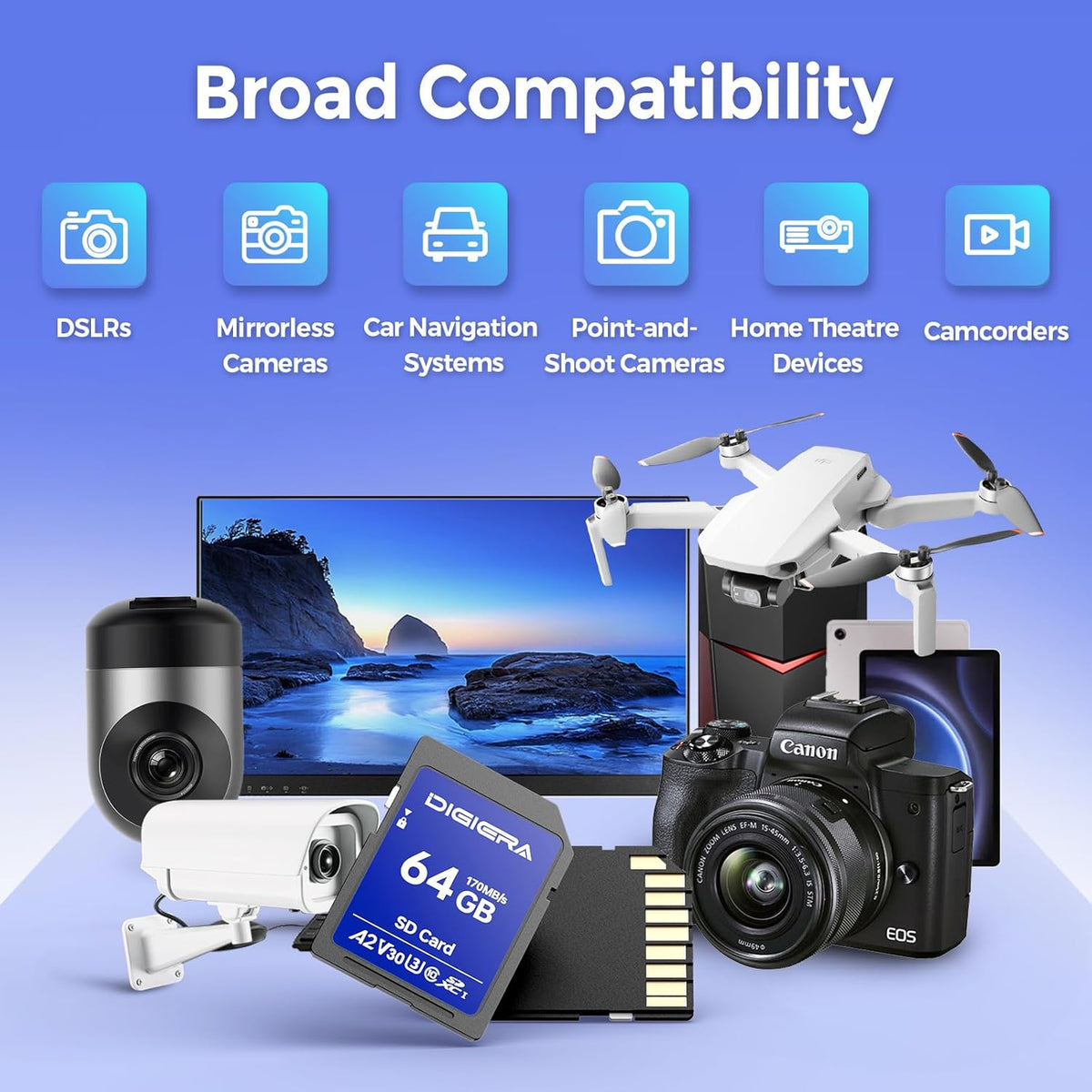 64GB LS100 SDXC UHS-I Memory Card - up to 170MB/s, C10, U3, V30, 4K UHD, SD Card for Computers, Digital Cameras, Home Theatre Devices, Car Navigation Systems (1 Pack)
